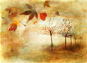 Art Fall Trees
