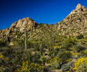 Desert Landscapes Pinnacle Peak