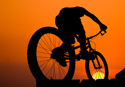 Sports Bicycle Sunset Ride