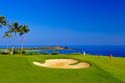Sports Golf Tropical