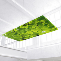 Custom Image Acoustic Ceiling Clouds