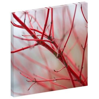 Nature Acoustic Image Panels Small Image