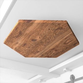 AcoustiWood Exotic Accent Acoustic Wood Alternative Ceiling Clouds 