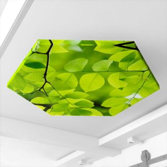 Custom Image Accent Acoustic Ceiling Clouds