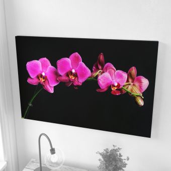 Floral Acoustic Image Panels