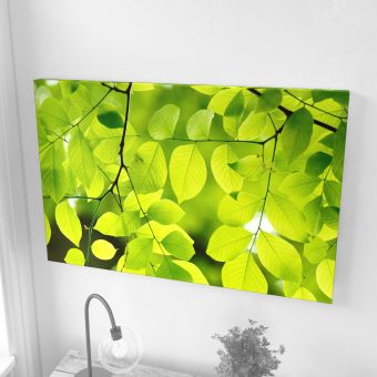 Nature Acoustic Image Panels