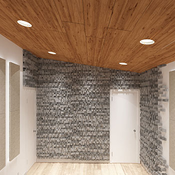 Acoustic Planks for Ceilings